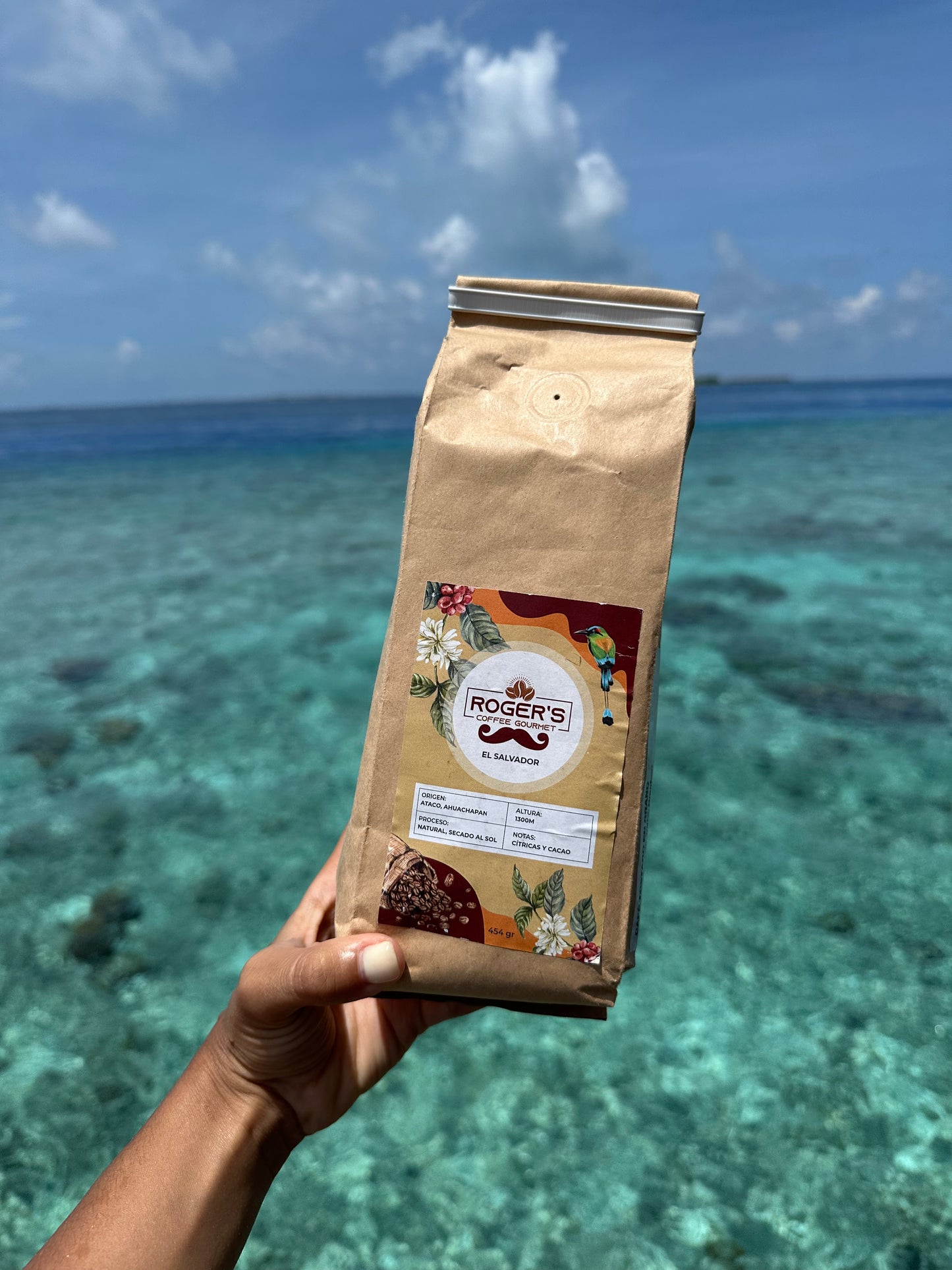 Granos de café 100% Bio El Salvador: 453G Tostado Medio