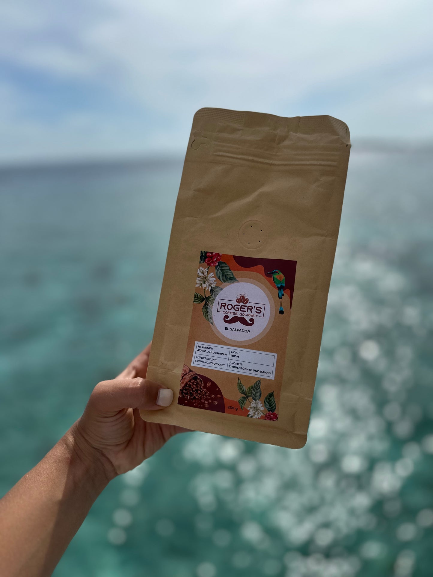 Café 100% Bio El Salvador en Granos: 250G Tostado Medio