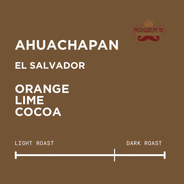 100% Organic Coffee Beans El Salvador: 454g | Dark Roast