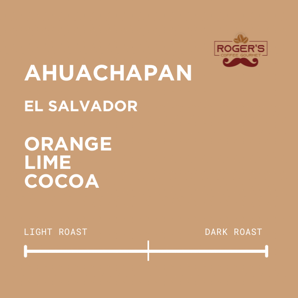 100% Organic Ground Coffee El Salvador: 250 g | Dark Roast